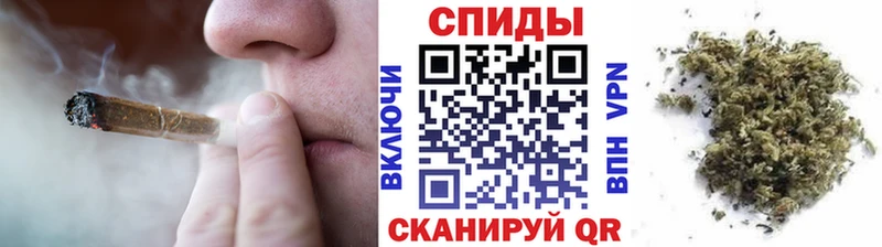 Бутират буратино цены Шагонар