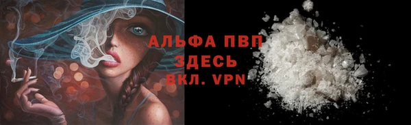 хмурый Нефтекумск