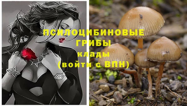 молекула духа Нея
