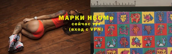 хмурый Нефтекумск