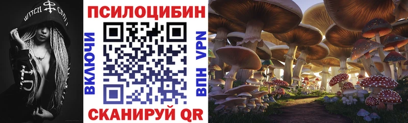 сколько стоит  даркнет как зайти  Галлюциногенные грибы Psilocybine cubensis  Шагонар 